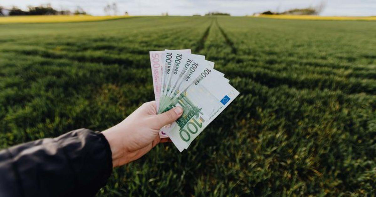 pn//uploads/dc c ee ae dddd__