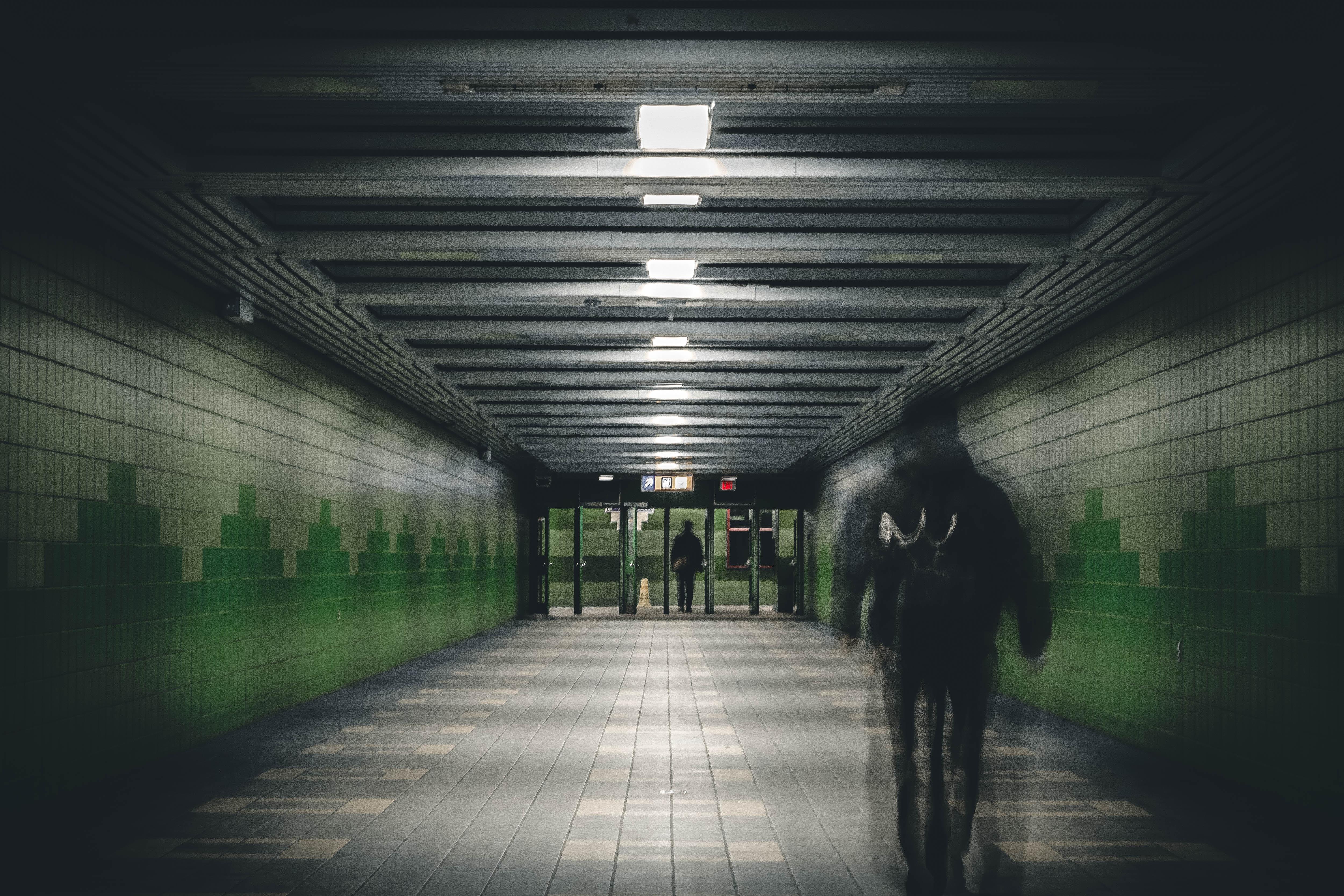 uploads///aleksandar savic mqSVCgjh unsplash