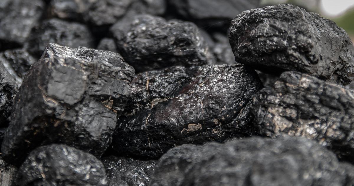 Pieces of coal