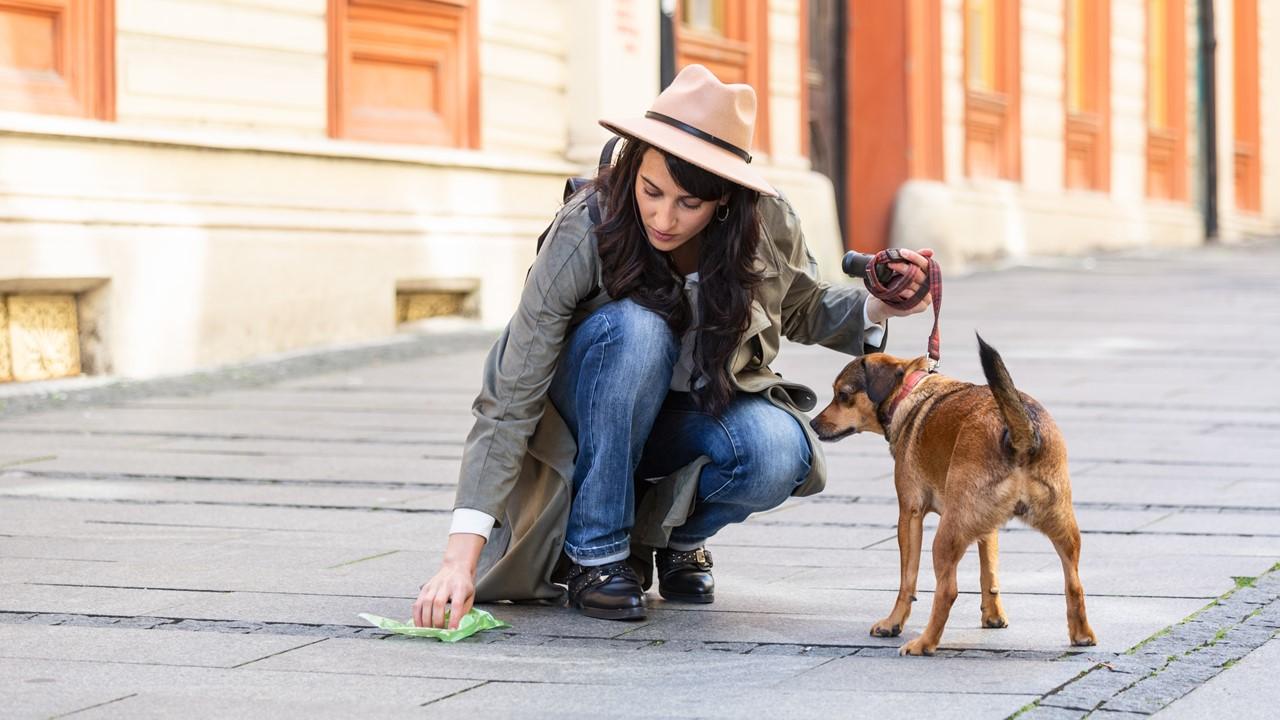 A woman walking a dog and cleaning up poop