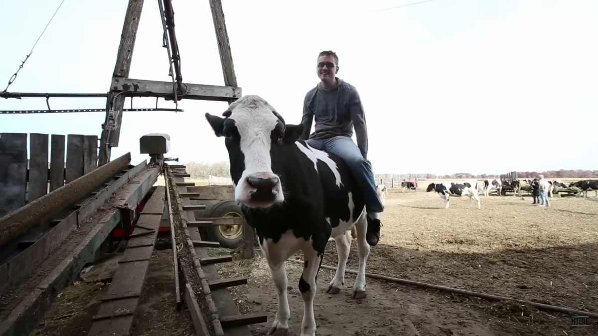 pn/dfbaa c e bbe fbaeecd