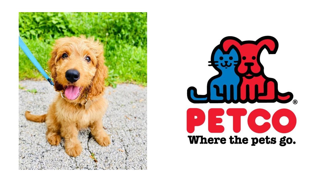 petco ipo and outlook