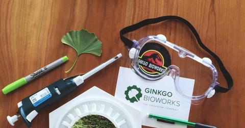 Ginkgo products