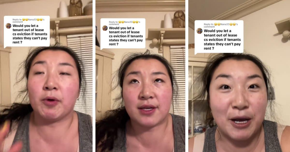 pn//uploads/cbd  ef b fef__