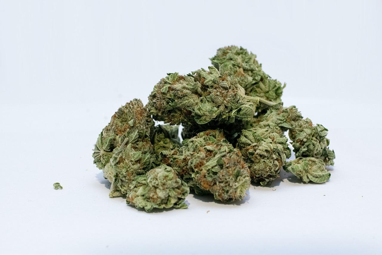 What Does Canopy Growth s CGC Stock Forecast Look Like In 2021 