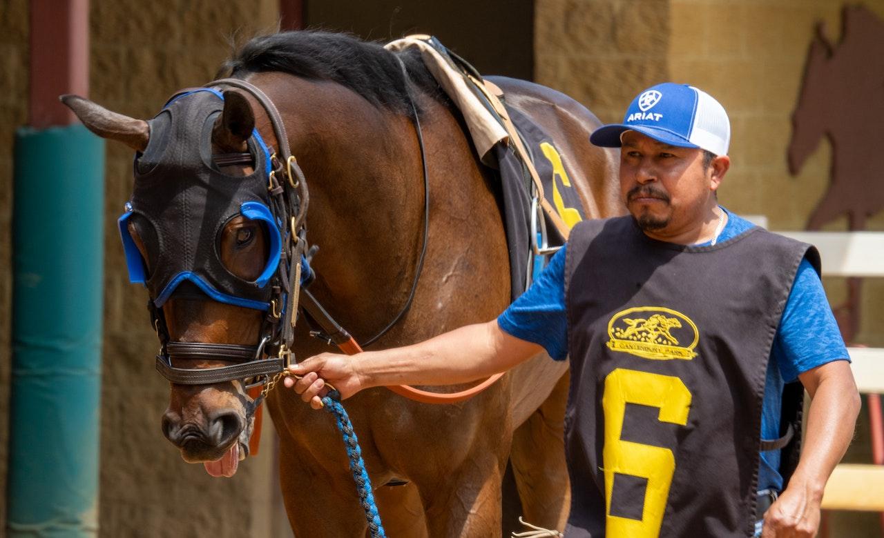 A Hostler Holding a Race Horse