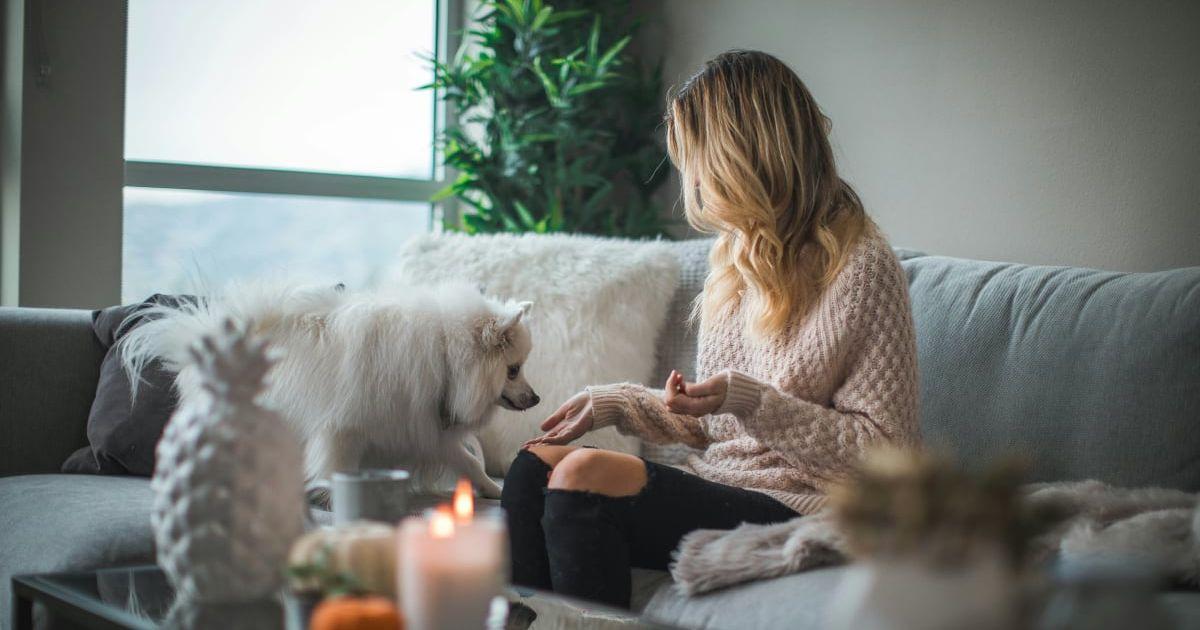 pn//uploads/cfc bdd ee  bba__