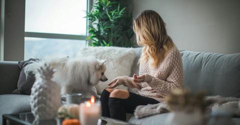 pn//uploads/cfc bdd ee bba__