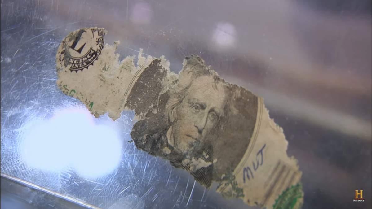 pn/ca fe c ed ddabeea