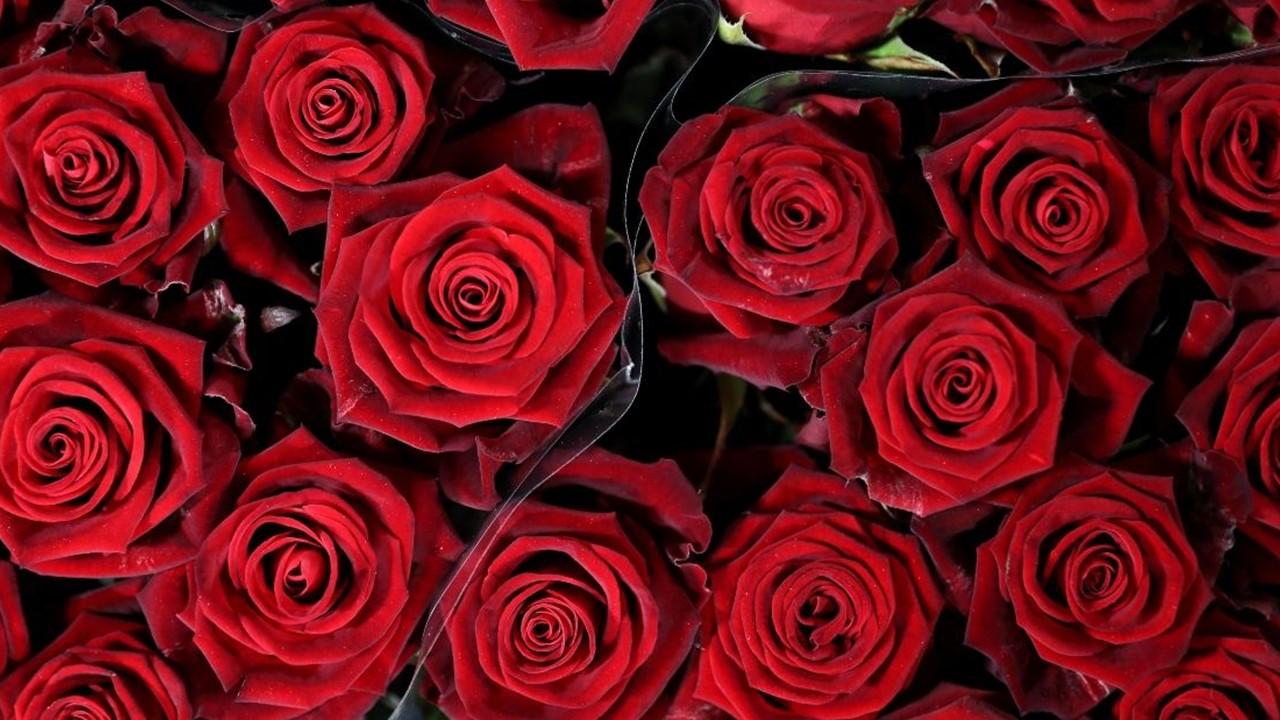 Can't Find Flowers in 2022? Flower Shortage and High Prices, Explained