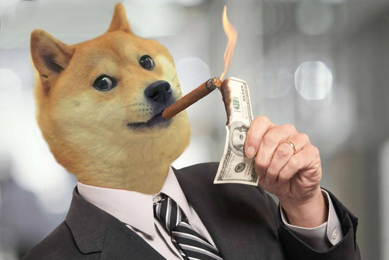 Dogecoin dog and burning money