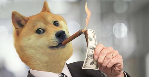 Dogecoin dog and burning money