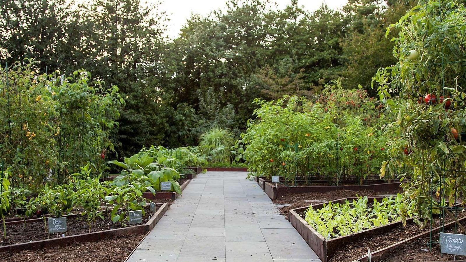 The White House Kitchen Garden as of 2023