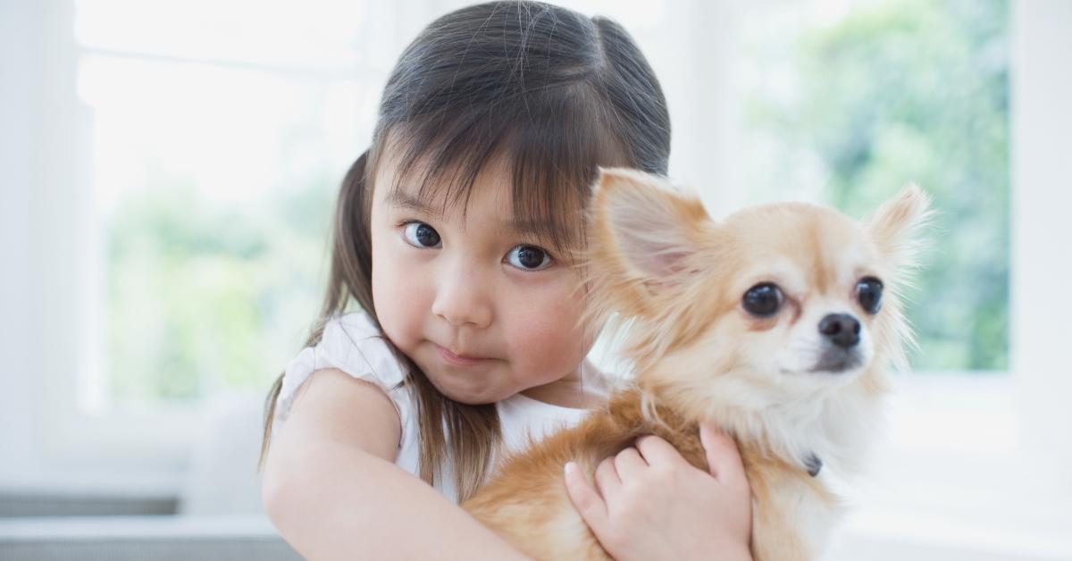 Little girl with her dog.