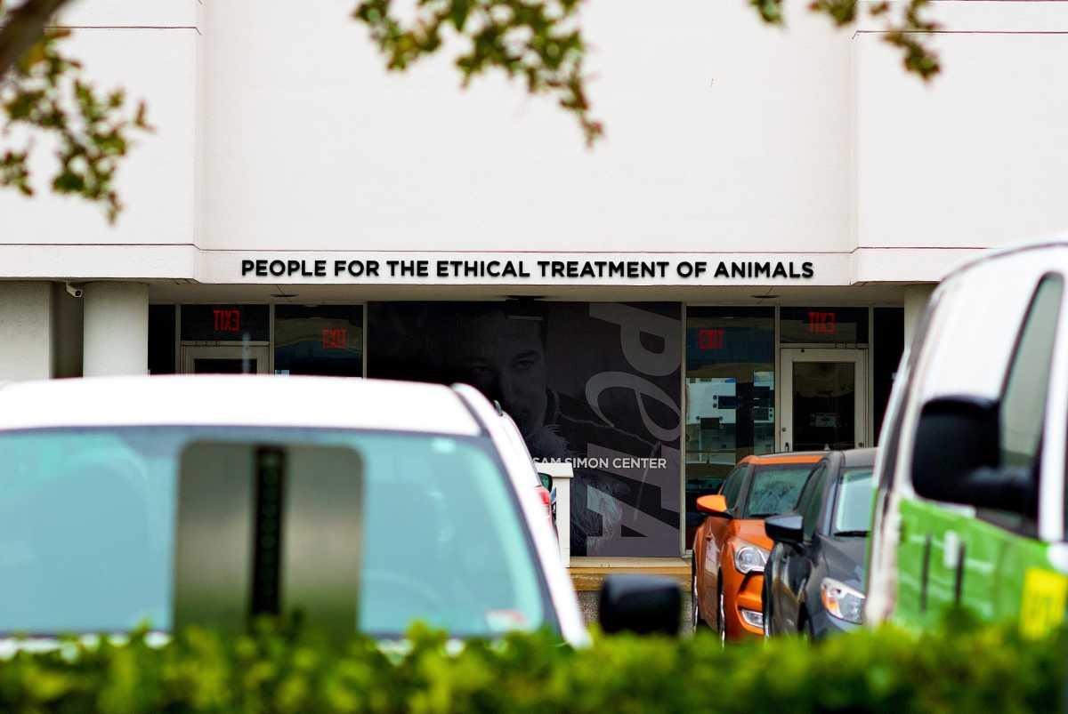 pn/de a b bcdc adceef