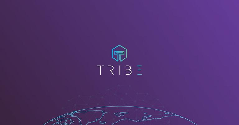 tribe crypto