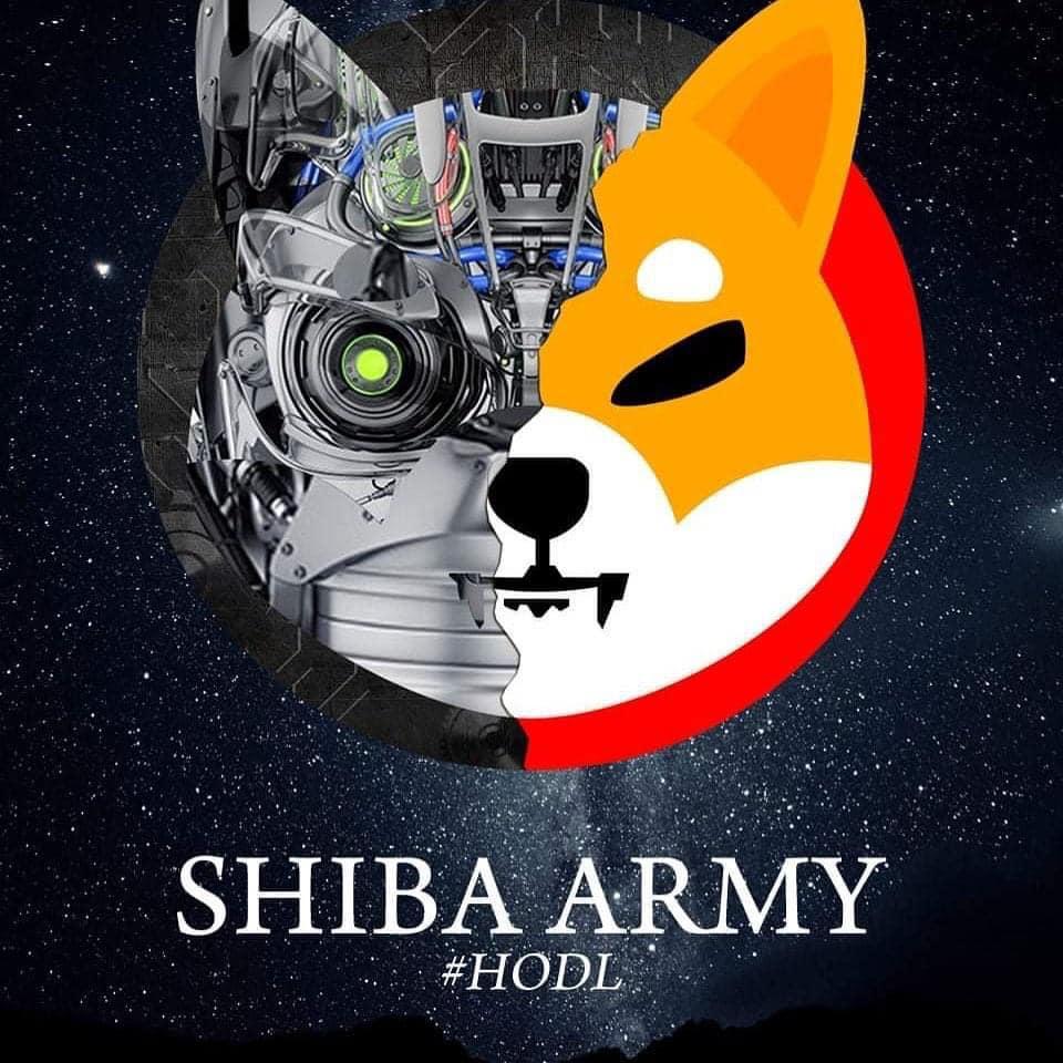 shiba inu army price ascent