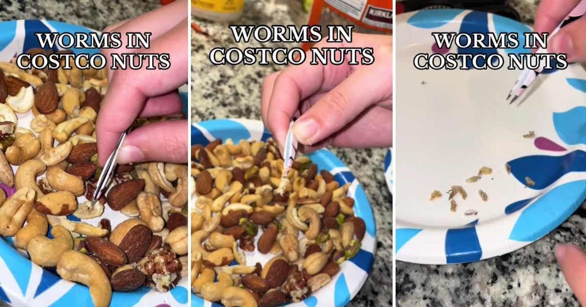 pn//uploads/aed c f ac eafa__