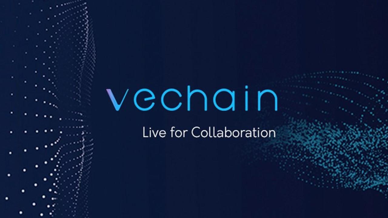 vechain and vethor