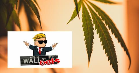 WallStreetBets logo and cannabis leaves