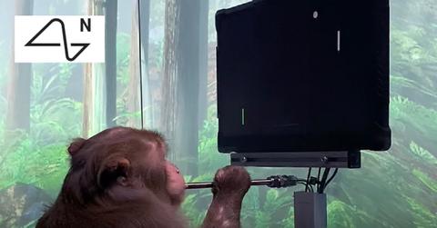 A monkey and Neuralink's logo