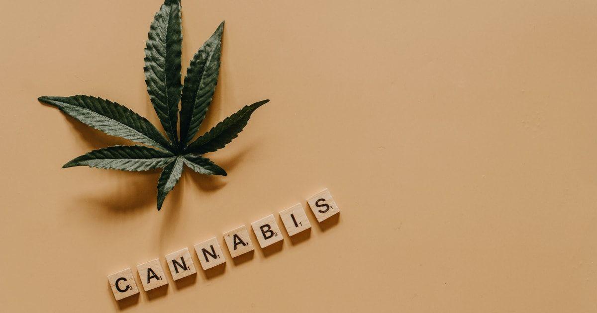 pn//uploads/fdaf e ee b fbed__