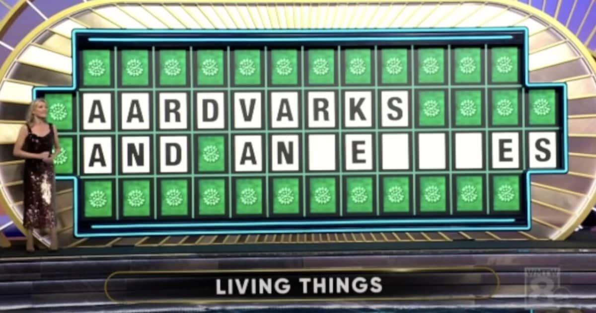 pn//uploads/addfee f f a deec__