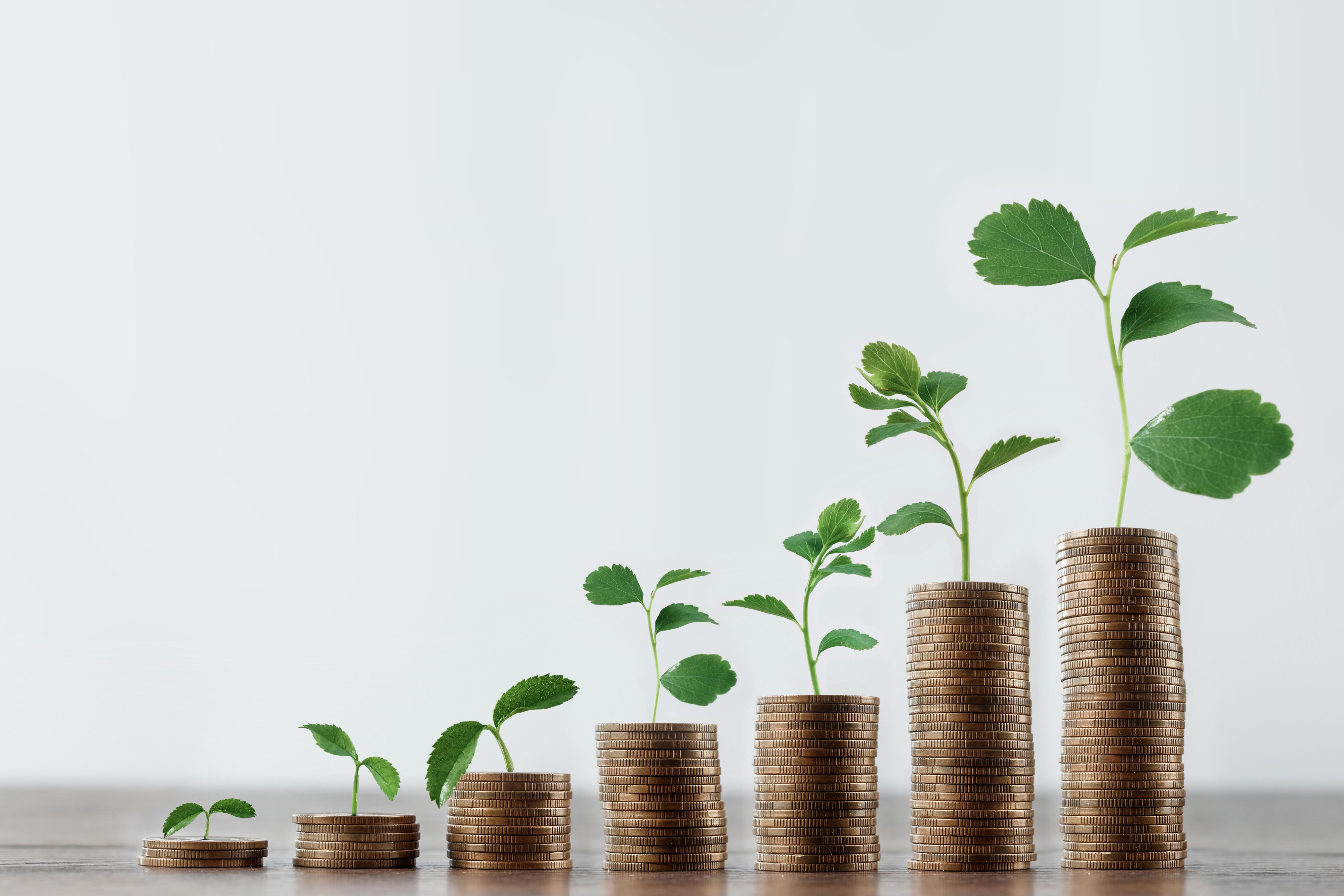 uploads///dividend stock