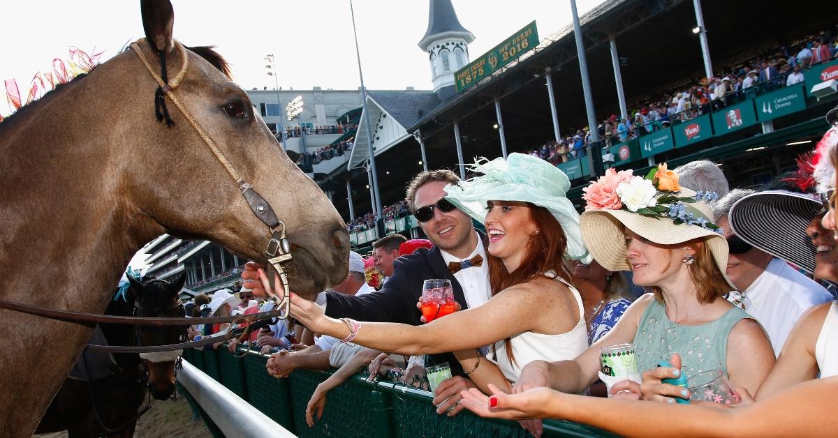 Fans at the Kentucky Derby petting one of the horses.