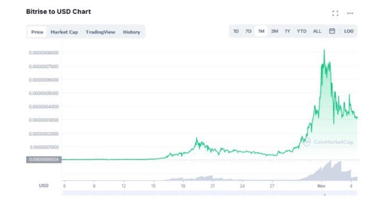price prediction of brise crypto