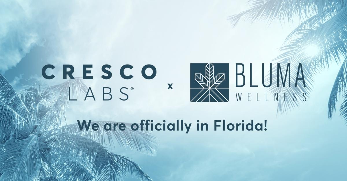 Why Is Cresco Labs (CRLBF) Stock Down and Will It Recover in 2021?