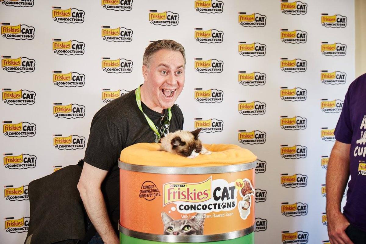 Is There a Shortage of Friskies Wet Cat Food in 2022?