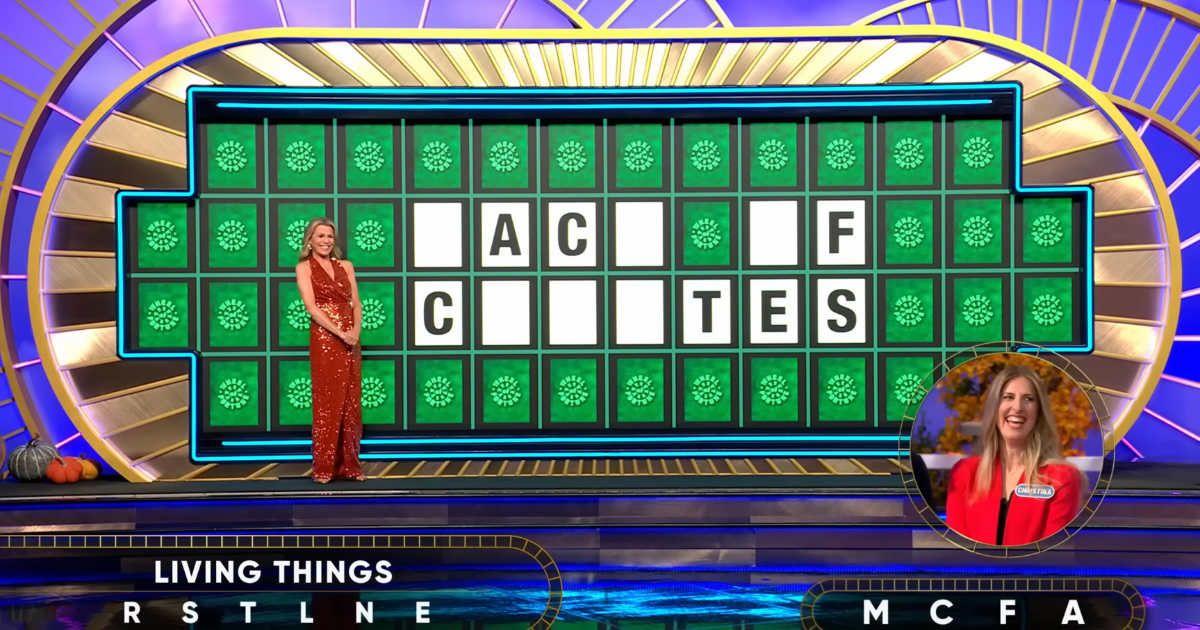 pn//uploads/c ebd f b ffceaff__