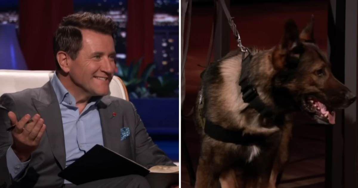 pn//uploads/aa cae f  acebcbd__