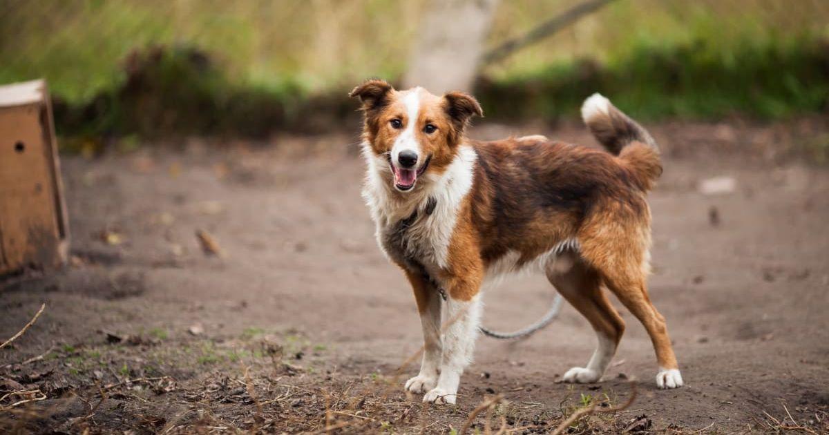 pn//uploads/ed e ee ae bbbbce__