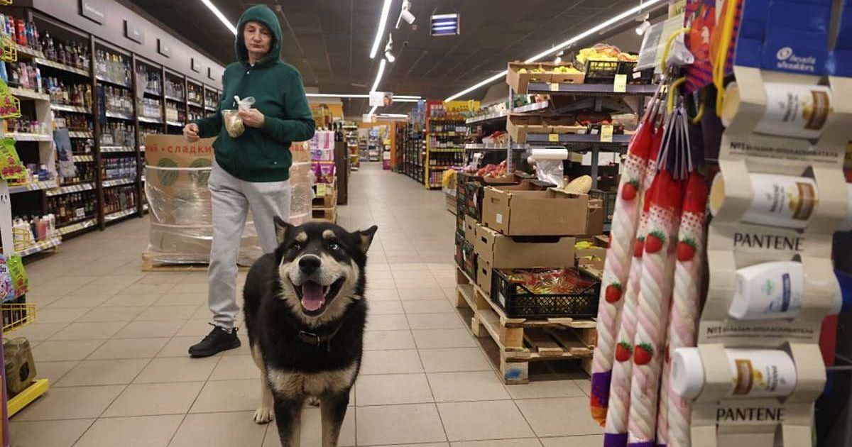 pn//uploads/fe f ae dd__