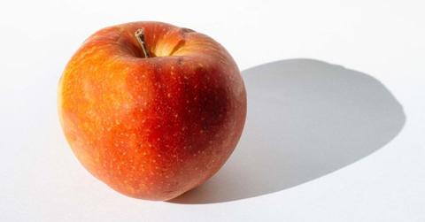 pn//uploads/db f ee cc deb__