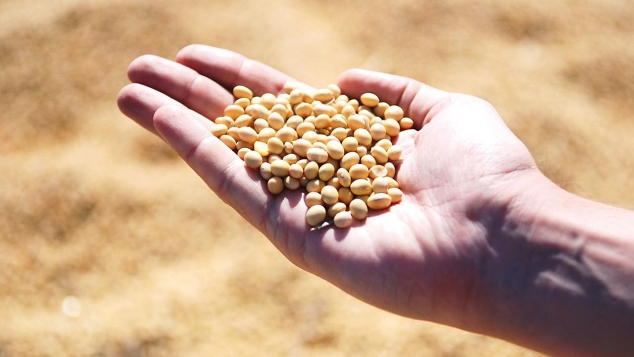 investing in soybeans