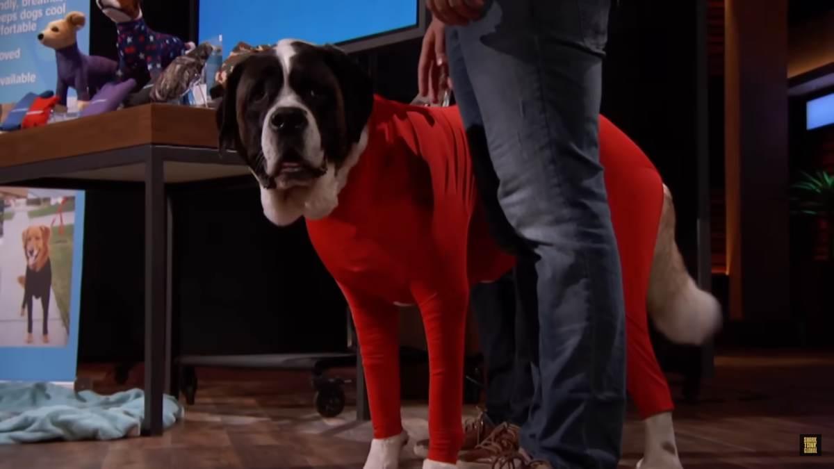 pn/cbcbe ac a add cfd