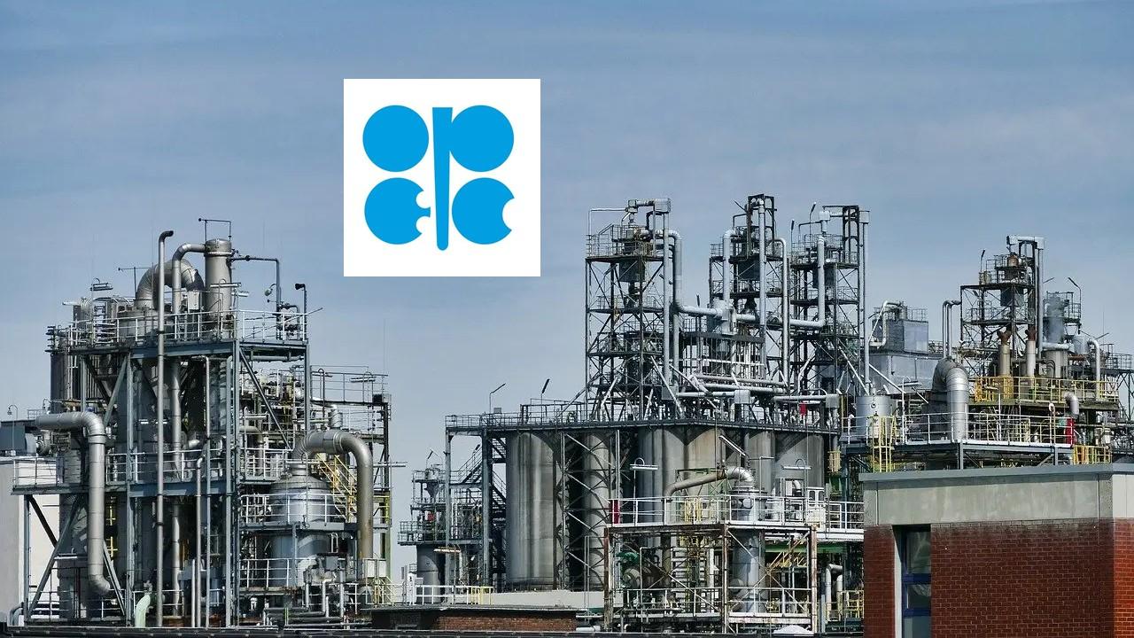 What Does OPEC Do?