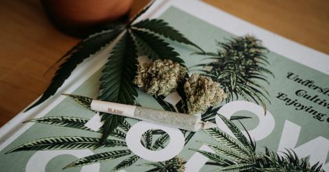 Cannabis set on a poster on a table