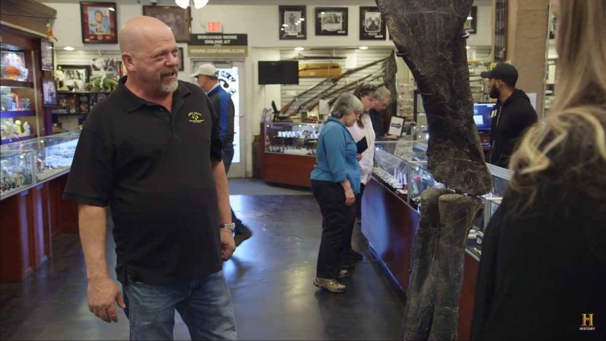 pn/acb fc fa bad aefbfce