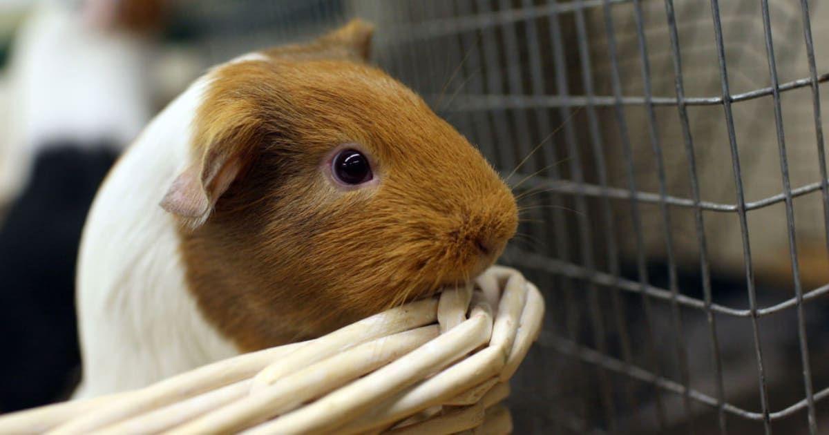 pn//uploads/fbec af ee  efe__