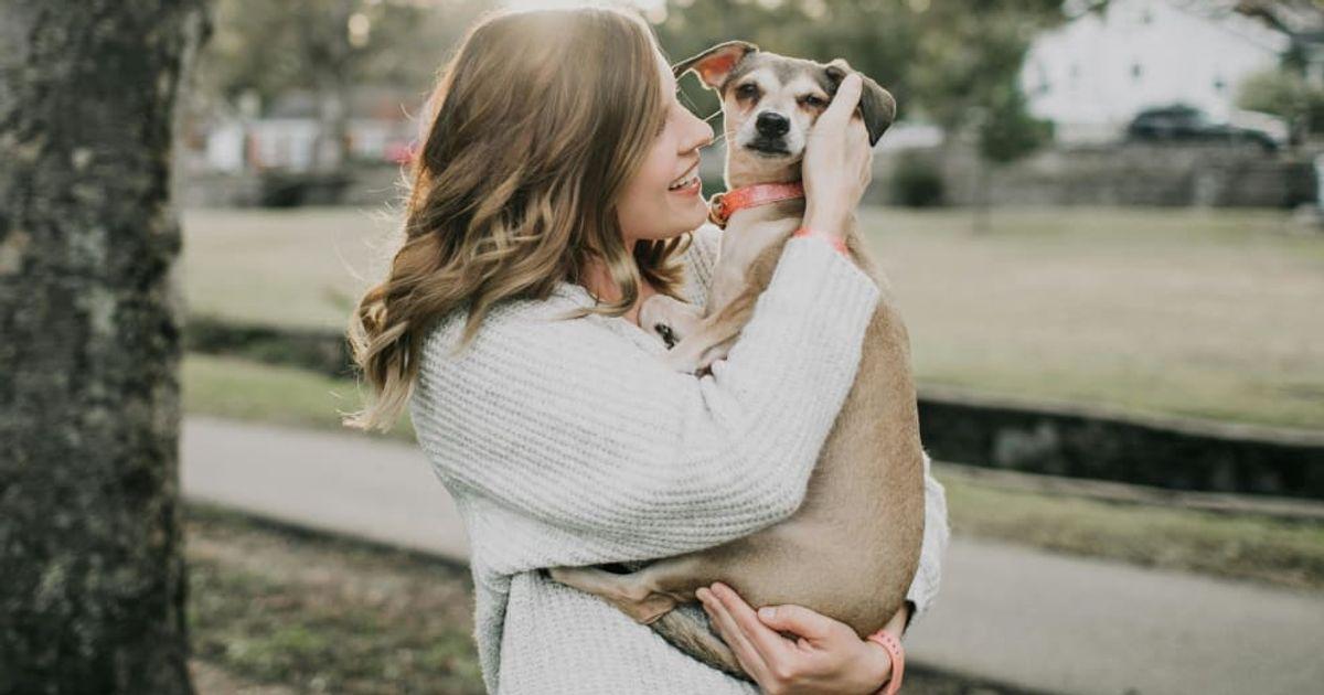 pn//uploads/ddf eb ee af eeffc__