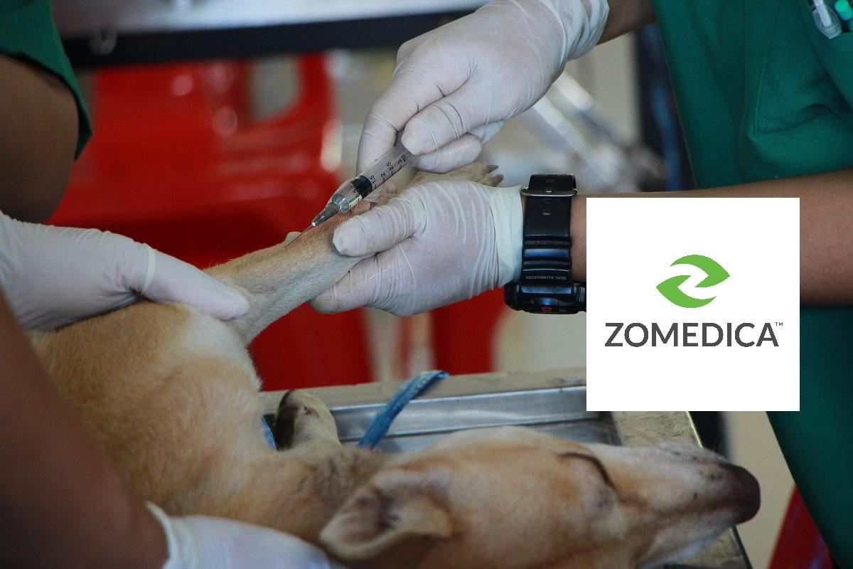 Dog injected by a vet and Zomedica logo