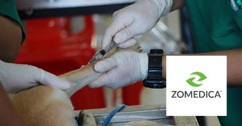 Dog injected by a vet and Zomedica logo