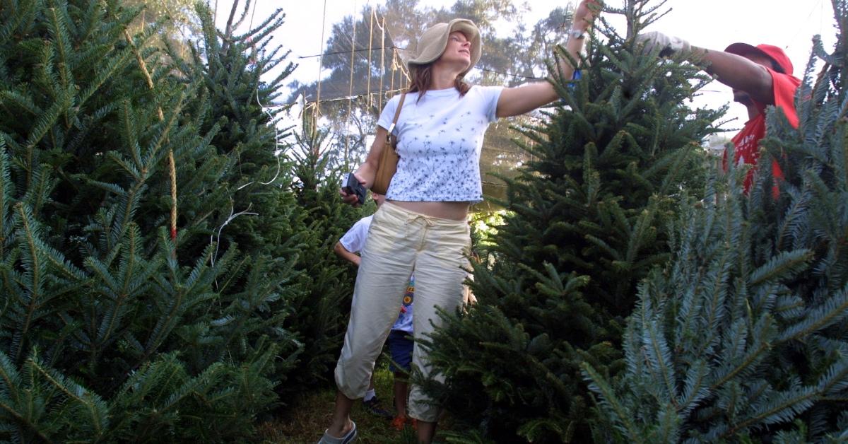 A woman shopping for a Christmas tree