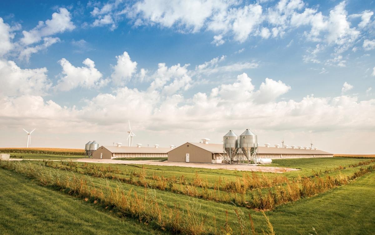 Why Did Smithfield Foods Sell to a ChinaBased Company?