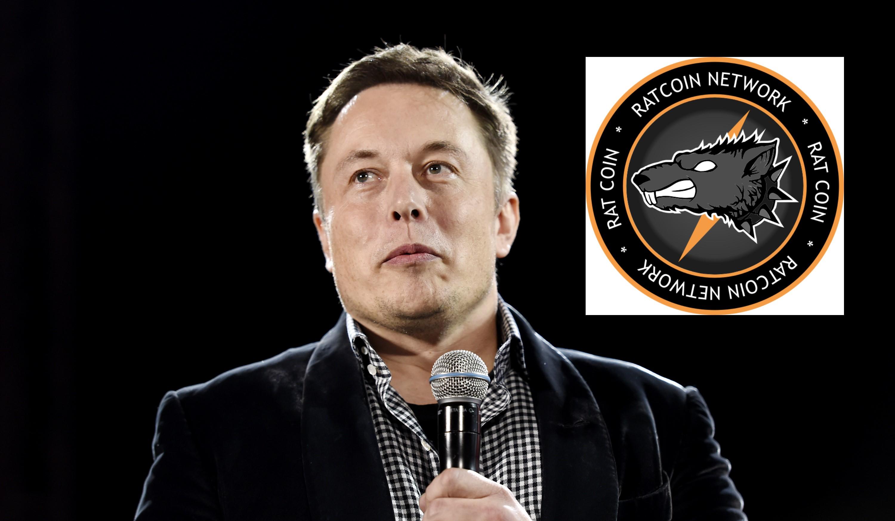 elon musk crypto coin ratcoin