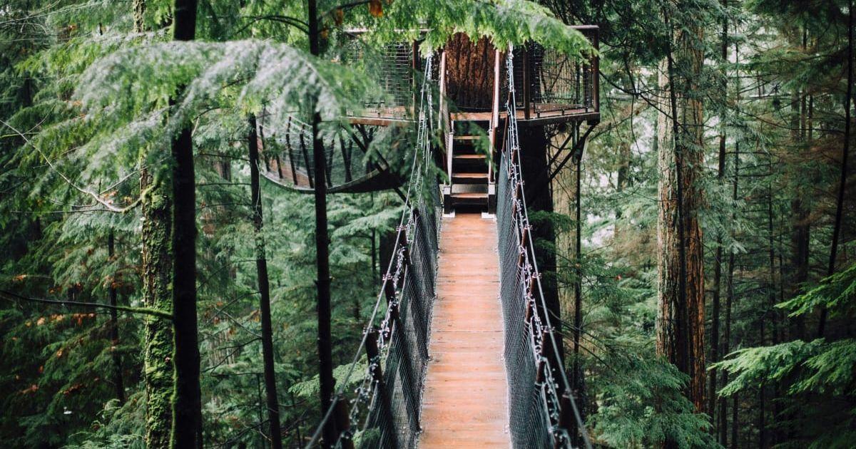 pn//uploads/d eb ee c dddb__